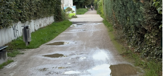 Rheinischer Esel in Annen