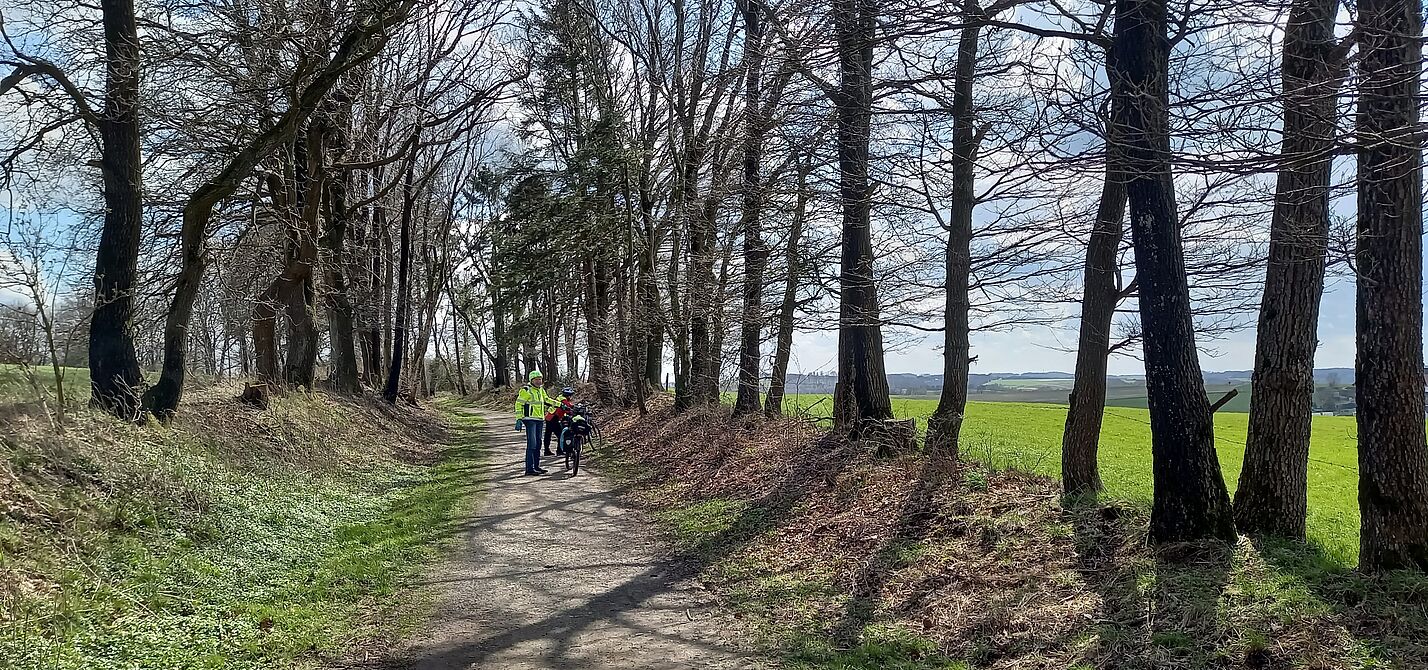 Auf der Kleinbahntrasse Richtung Breckerfeld Auf der Kleinbahntrasse Richtung Breckerfeld