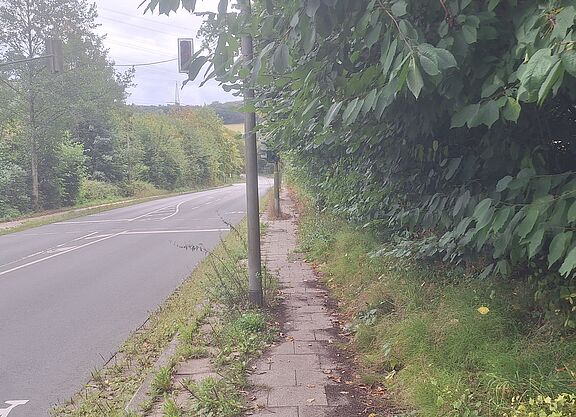 Holthauser Straße 