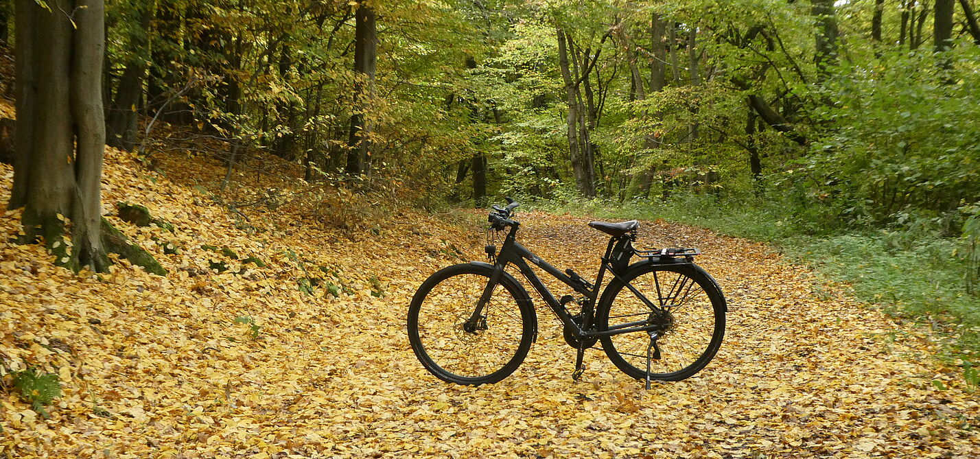 Radfahren im Herbst Radfahren im Herbst
