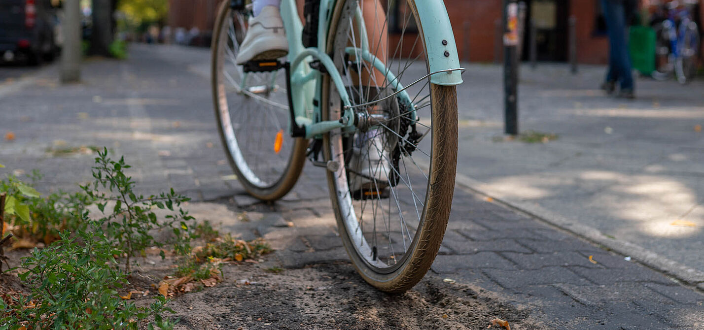 Defekter Radweg Radweg mit Schlagloch und Baumwurzeln